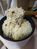 陈克明面条 非油炸方便面鸡蛋波纹面饼500g 鸡蛋挂面早餐面 实拍图
