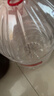 娃哈哈纯净水12L*1桶 大桶水一次性桶装水 送货上门哇哈哈饮用水 实拍图