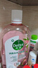 滴露（Dettol）香氛自然衣物消毒液48H留香洗衣除臭儿童可用消毒水杀菌除螨1L*2 实拍图