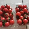 新鲜圣女果小西红柿小番茄新鲜蔬菜生鲜减肥减脂早餐沙拉现摘现发 广西小番茄带箱2斤 1.8斤 净重 实拍图