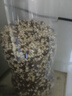 赤小豆 农家去湿气红豆薏仁五谷杂粮粗粮豆类煮粥 赤小豆500g*2袋 实拍图