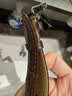 istrap鳄鱼纹小牛皮手表带男士真皮女表链适用天梭浪琴美度西铁城表带卡西欧天王dw精工海鸥阿玛尼腕带 实拍图