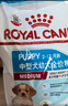 皇家幼猫奶糕 幼猫猫粮 BK34 通用粮 1-4月 2KG 实拍图