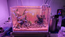 HANYANG鱼缸底砂黄金沙水草南美雨淋化妆细沙免洗龟缸水族养鱼造景2kg 实拍图