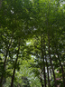Onitsuka Tiger鬼塚虎MEXICO 66™经典小白鞋运动休闲鞋复古男女鞋 1183A201 燕麦色 38 实拍图