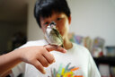 适马（SIGMA）Art 85mm F1.4 DG DN 全画幅微单 大光圈定焦镜头 人像肖像特写（索尼E卡口） 实拍图