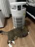 美的家用宠物空气净化器 吸猫毛除过敏源猫猫搭子猫毛净化器杀菌消毒除猫狗异味 卫健委备案 小怪兽PET500【宠物专享】 实拍图