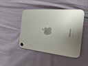 Apple/苹果 iPad mini (A17 Pro) 8.3英寸 平板电脑(256G WLAN版/mini7/MXND3CH/A)星光色 实拍图