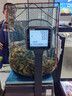 海底捞 火锅底料 醇香牛油火锅底料150g  2~3人份麻辣味火锅底料  实拍图
