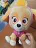 汪汪队立大功（PAW PATROL）毛绒玩具狗狗陪睡玩偶经典款天天站姿公仔男女孩儿童生日礼物 实拍图