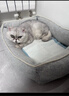 卫仕 膳食全价全阶段猫粮 猫干粮 成猫幼猫营养均衡天然猫粮 1.8kg*3 实拍图