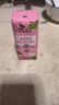 菲里维尔 FERRIS WHEEL油柑芭乐复合果汁饮料 200ml*24瓶 0脂果汁饮品酸甜递进 便携装 实拍图