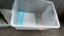 禧天龙塑料衣物收纳箱玩具整理箱车载储物箱55L 透明 1个装 带轮 实拍图