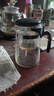 飘逸壶泡茶壶耐热高温玻璃沏茶过滤内胆冲茶器家用茶具套装 飘逸杯500mL1个 实拍图