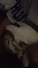 澳贝（auby）婴幼儿玩具小兔安抚巾宝宝哄陪睡神器阿贝贝新生儿玩偶儿童节礼物 实拍图
