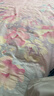 Hello Kitty儿童内裤女童宝宝小女孩5条装平角底裤短裤 KTN254花色155/3XL 实拍图