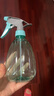 喷壶浇花浇水喷雾器气压式喷水壶家用园艺养花500ml 南瓜喷壶透蓝【1个装】 实拍图