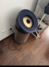 戴森（DYSON）BP04空气净化器 滤除病毒 大面积净化过敏原 除PM2.5宠物毛发 医护级 宠护认证 蓝金色【价保618】 实拍图