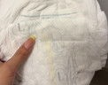 babycare金山茶花拉拉裤XXXXL26片(＞19kg)婴儿尿不湿超薄透气轻柔花苞裤 实拍图