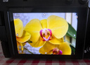 松下S9（18-40mm F4.5-6.3）套机 （Panasonic）全画幅微单 实时Lut 滤镜直出 连接app极速分享-灰银 实拍图