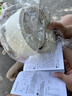 小白熊全玻璃恒温水壶调奶器婴儿电热水壶烧水壶冲奶1.2L 5025随机发货 实拍图