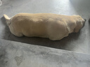 麦富迪狗粮 藻趣儿狗粮成犬粮牛肉螺旋藻 均衡营养15kg/30斤 实拍图