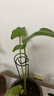 九千谷植物爬藤架包塑钢管园艺支架护花架支撑杆圆环型45CM5个装6423 实拍图