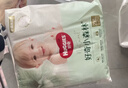 好奇（Huggies）小森林湿巾20抽3包加大加厚婴童手口适用植物纤维去油污消毒便携 实拍图