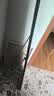 密林穿衣镜全身镜落地镜挂门服装店试衣镜简约家用壁挂镜 150*40 实拍图