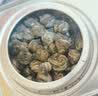 音朗茶叶茉莉花茶龙珠明前2026新茶浓香耐泡茉莉龙珠茶叶礼盒500g 实拍图