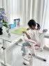 飞旺藤达升降学习桌中小学生家用手摇升降电脑桌书桌学生写字桌手动桌 【极简·白-手摇升降】80*60单桌 实拍图