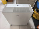 美的（Midea）54升小方物除湿机100㎡家用梅雨天抽湿机干衣机 地下室泵压上排水除湿器CF54BS/DA (支持鸿蒙智联) 实拍图