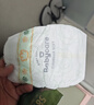 babycare金山茶花婴儿纸尿裤mini装NB34片(<5kg)新生儿尿不湿【新老混发】 实拍图