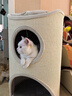 兽牌树洞剑麻桶猫窝猫抓板一体剑麻猫爬架双层大猫屋半封闭式冬季保暖 燕麦奶白丨47cm加大号 实拍图