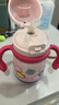 babycare儿童保温杯婴儿宝宝吸管水杯霸王龙不锈钢保温杯300ml-新旧款混发 实拍图
