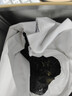 京东京造鲜来多26新茶信阳毛尖绿茶250g明前茶叶栗香嫩芽送礼盒自己喝自营 实拍图