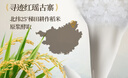 霸王淘米水洗发水控油去屑洗头膏柔顺亮泽蓬松洗发露500g 实拍图