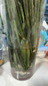 吕姆克玻璃花瓶水养插花瓶水培富贵竹客厅520摆件透明直筒款25cm5517 实拍图