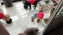 【爆品】冻干狗粮通用型成犬幼犬中小型泰迪比熊全阶段犬粮欧萨 10斤装【美味三拼】肉粒+鸭肉 实拍图