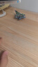 儿童玩具合金回力战斗机客机模型仿真惯性滑行迷你飞机幼儿园奖励 回力合金战斗机【混装】 【1个-体验装】 实拍图