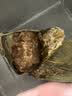 五芳斋粽子袋装团购批发多口味 早餐粽子嘉兴特产 中华老字号 真空五芳大肉粽140克*2只 实拍图