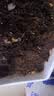 播种心情太阳花种子重瓣混色四季开花庭院阳台盆栽易活室内外 混色重瓣大花太阳花3万粒+肥料 实拍图