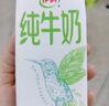伊利【新鲜日期】纯牛奶苗条装 200ml*24盒 优质乳蛋白 礼盒装 3月产 实拍图