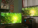 联合创新27英寸4K苹果色120Hz HDR500 Type-C90W mac外接显示器99%P3色域 2000:1专业设计办公显示器CB27U1 实拍图