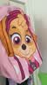 汪汪队立大功（PAW PATROL）幼儿园书包幼儿园大班4-8岁儿童女户外超轻背包双肩包透气防泼水 实拍图