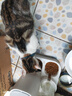 豆柴（docile）经典缤纷冻干狗粮成犬小型犬大型犬犬粮比熊泰迪狗粮试吃40g*5 实拍图