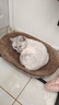 【京东物流】猫抓板磨爪猫窝一体耐磨不掉屑超大号猫玩具猫咪用品 椭圆大号+猫薄荷 实拍图