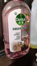 滴露（Dettol）衣物消毒液自然香氛洗衣除菌液 除螨除异味去汗臭48h留香1000ml*1 实拍图