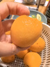 译蒙之味【顺丰速运】四川攀枝花米易甜枇杷新鲜水果当季孕妇大五星甜琵琶 净重5斤果王【单果40g-60g】彩箱 实拍图