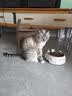 网易严选猫粮【推荐】全价猫粮 幼猫成猫主粮猫咪食品 一口9种肉 【多猫家庭】深海鱼虾口味 1.8kg*4袋 实拍图